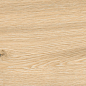 AB 1161W Wildwood Natural 1200x200 Absolut Gres
