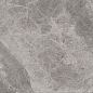 75390 Supreme Silver Ret 60x60 Cerdomus фото в миниатюре 10