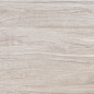 WT9VET11 Vertus Oak 249x500 AltaCera