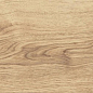 AO47 Exence Vanilla 20x120 Atlas Concorde