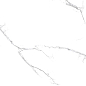 R_PR2003 Unico White Polished 60x120 Royce