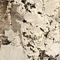 774858 Heritage Flame Glossy 6mm 60x120 Rex Ceramiche фото в миниатюре 5