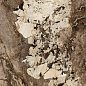 1278FD18 Milan Brown Glossy 6 mm 120x278 FMAX фото в миниатюре 3