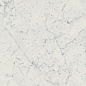 610010001194 Charme Extra Carrara Nat Ret 60x120 Italon