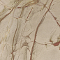 774673 Nature Mood Rainforest Glossy 80x180 Casa Dolce Casa