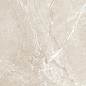 D60262M Wild Gold матовый 600x600x9.5 New Trend