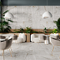 Pulsar Grey Laparet