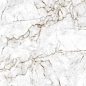 Crown Carving 60x120 Eurotile Ceramica