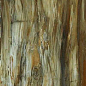 Arty Brown High gloss 60*120 Art Ceramic