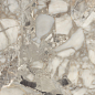 FP1036-A Aragonite White Full Polished 60x120 Arcadia Ceramica