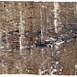 COLONIAL Wood Nature Brillo Mix 7,5x30 Cifre
