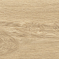 41726 Bloom Honey SP/24x151x0,9/R 24x151 Peronda