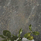 Stonehenge White 60x120 Rocersa