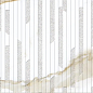 Concept Calacatta Gold Vecchio 120x40 Keraben