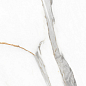 GT120605503PR Angel Statuario Белый 60x120 Global Tile