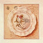 25.8(421) Декор Herbarium 5 из 1 плитки 10x10 Factoria