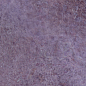 29015 Dyroy Aubergine 6.5x20 Peronda фото в миниатюре 30