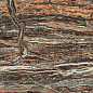 610015000597 Epos Jurassic Rett Lap 60x120 Atlas Concorde Russia