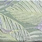 Tapis Eden 10х30 Mainzu