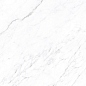 CP4003-A Coralina White Carving Pro 60x120 Arcadia Ceramica