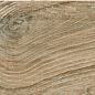 Dakaris Golden 19,5x120x0,9 Navarti (Kerlife) фото в миниатюре 18