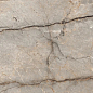 AМ22-12 Crezard Natural бежевый карвинг 120х60 Avroria