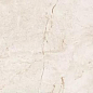6406 Stone Ivory Polished 60x120 Leopard
