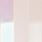 4100730 Rose Hologram Mix 5x25 41ZERO42