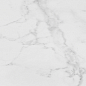 P1856896 V5590680 Carrara Blanco Brillo 59.6x59.6 Porcelanosa