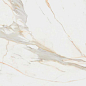 Calacata Gold  Leviglass Rect. 120x120 Pamesa