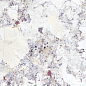 40736 Artic White SP/100x180/R 100х180 Peronda
