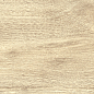GP1560TAN01 Tanzania Crema матовый 151x602 New Trend