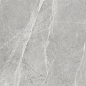 Worner GREY 60x60 Bluezone
