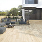 Forest La Platera