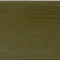 31195 Island Lichen 6,5x20 EQUIPE