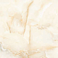 Aquarius Onyx Beige Matt 80х80 Italica Tiles