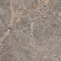 Miltonia Grey 60x120 Realistik