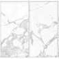 Statuario Royal Tile