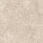 141135 Mythology Simbios Taupe Brushed Rect 60x120 Monocibec фото в миниатюре