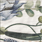 DECOR PROTEA 20x20 Mainzu