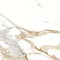 Medici Gold Pulido 80x160 Benadresa