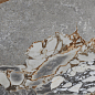 Mineral Stone Natural Rect 60x120 Baldocer фото в миниатюре 6