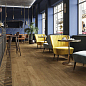 Heartwood Atlas Concorde