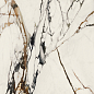100331160 Xlight Paonazzo Biondo Silk 120x120 Urbatek