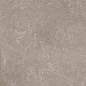 11020 Shell DG 60х120 Creto