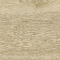 Italian Wood Beige G-250/SR (GT-250/gr) 20х60 Grasaro