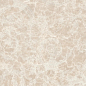 G0047083 Meteorite Megabarocco Miele R 60x120 Versace (Gardenia Orchidea) фото в миниатюре
