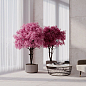 Snowrock Pieza Ceramica фото в миниатюре 2