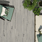 Forest La Platera