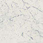 610015000356 Charme Extra Carrara Nat Ret 30x60 Italon